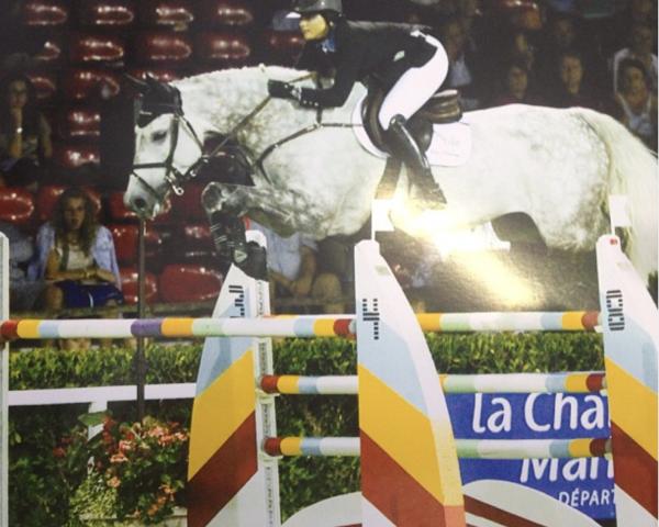 Springpferd River Dance (Hannoveraner, 1999, von Garcon)