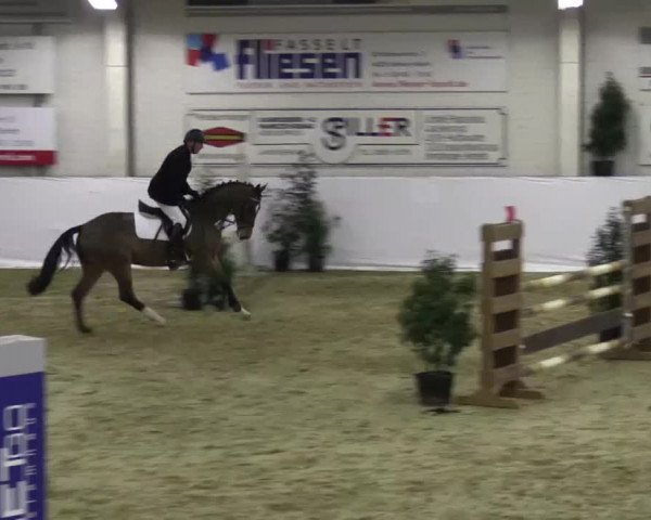 Hallenspringturnier in Borken 2015