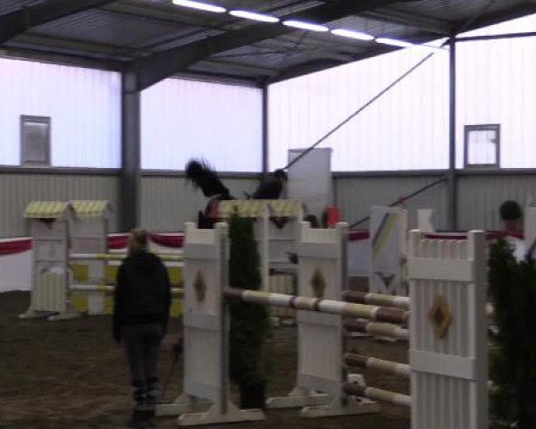 Hallenreitturnier Arnsberg-Voßwinkel 2015