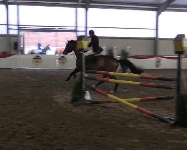 Hallenreitturnier Arnsberg-Voßwinkel 2015