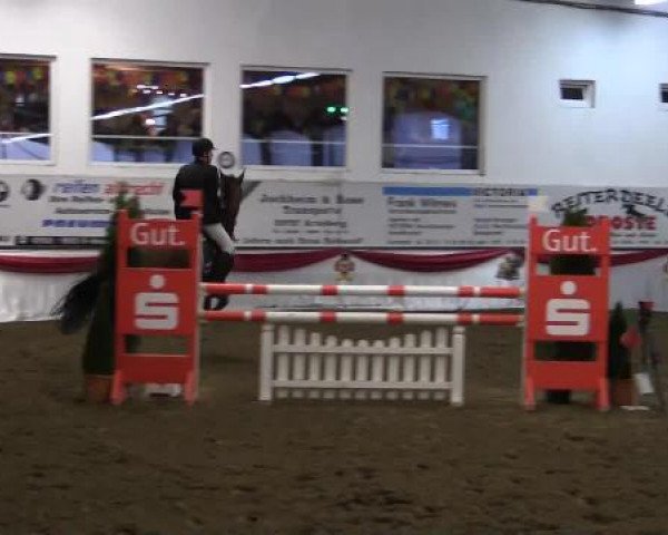 Hallenreitturnier Arnsberg-Voßwinkel 2015