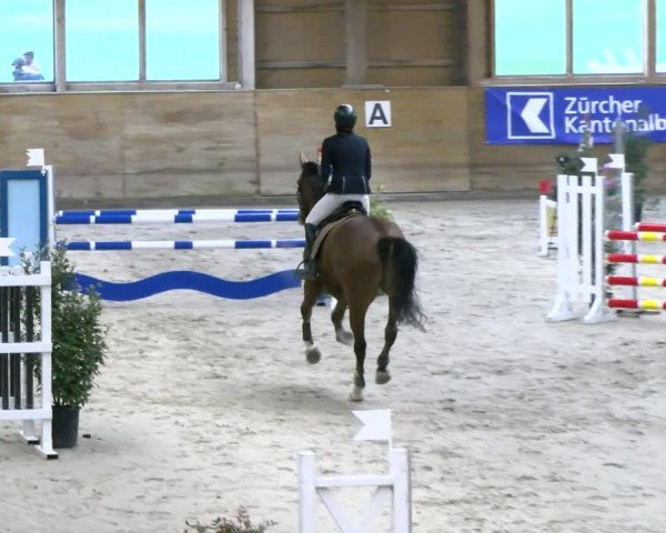 Reitturnier Rüti 2021