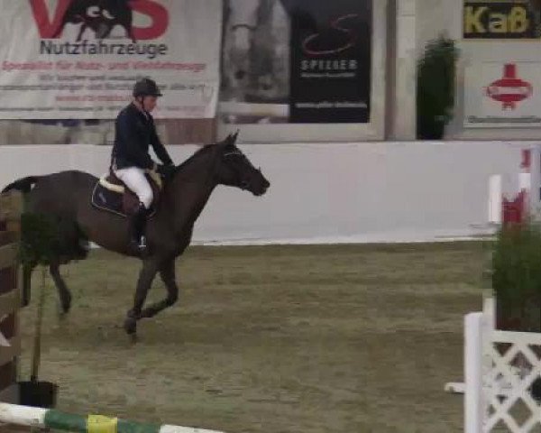 Hallenspringturnier in Borken 2015