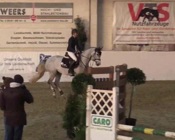 Hallenspringturnier in Borken 2015