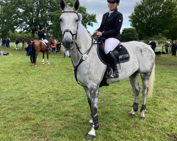 Springpferd Classic Girl 32 (Holsteiner, 2010, von Cassito)