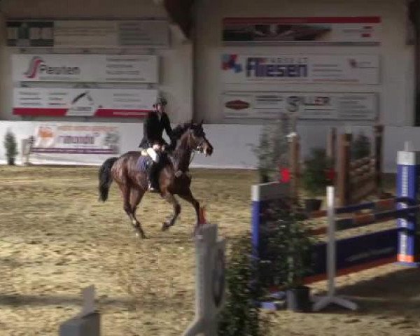 Hallenspringturnier in Borken 2015