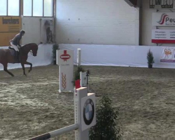 Hallenspringturnier in Borken 2015