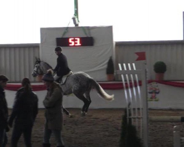 Hallenreitturnier Arnsberg-Voßwinkel 2015