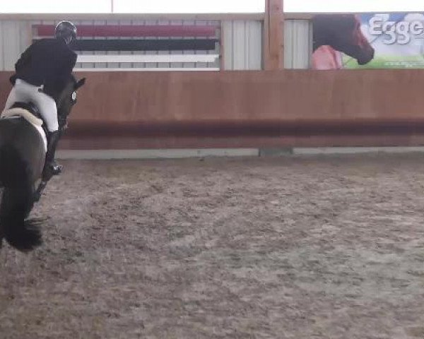 Late-Entry Dettingen 2015