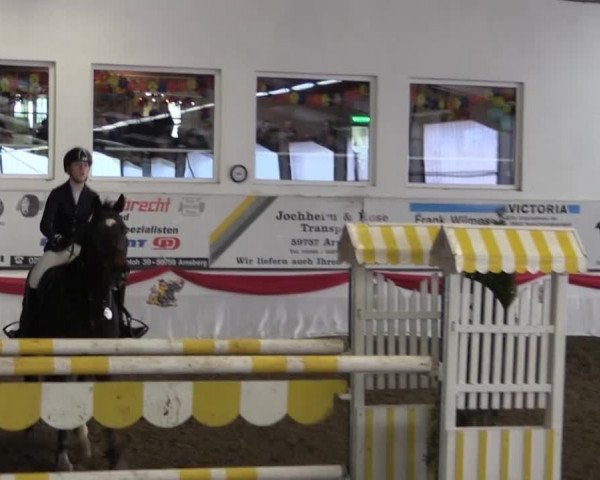 Hallenreitturnier Arnsberg-Voßwinkel 2015