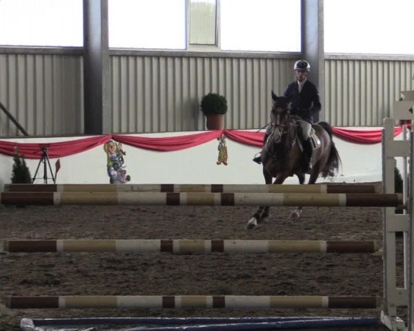 Hallenreitturnier Arnsberg-Voßwinkel 2015