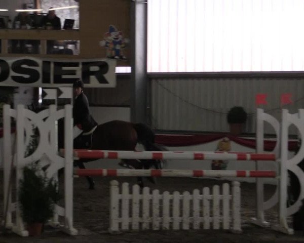 Hallenreitturnier Arnsberg-Voßwinkel 2015