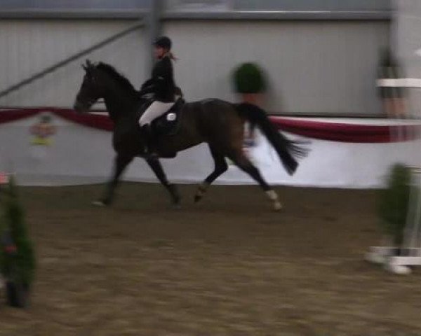 Hallenreitturnier Arnsberg-Voßwinkel 2015