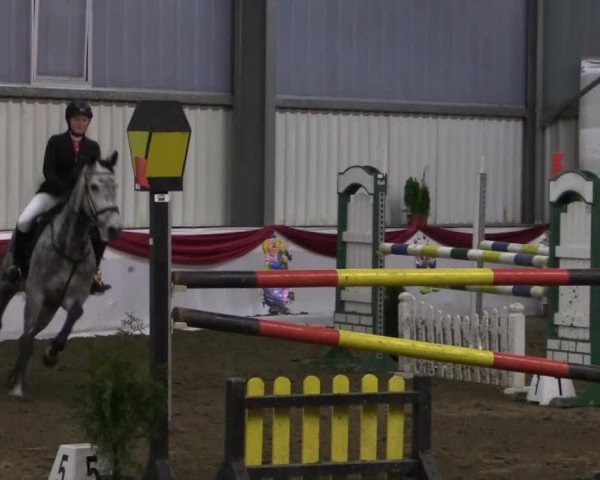 Hallenreitturnier Arnsberg-Voßwinkel 2015