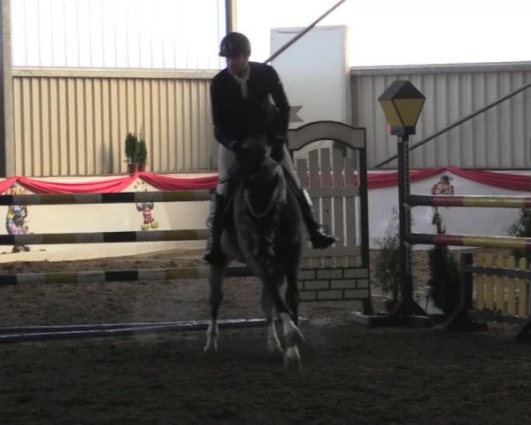 Hallenreitturnier Arnsberg-Voßwinkel 2015