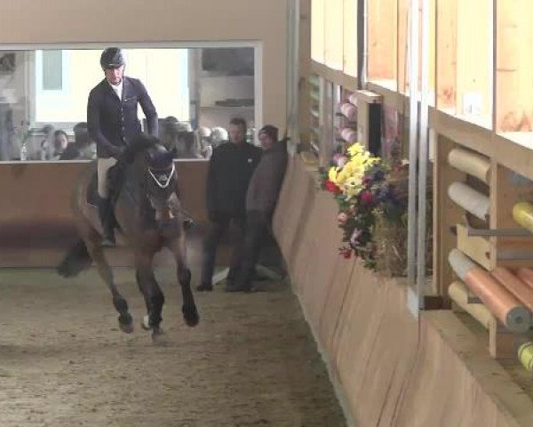 Late-Entry Dettingen 2015