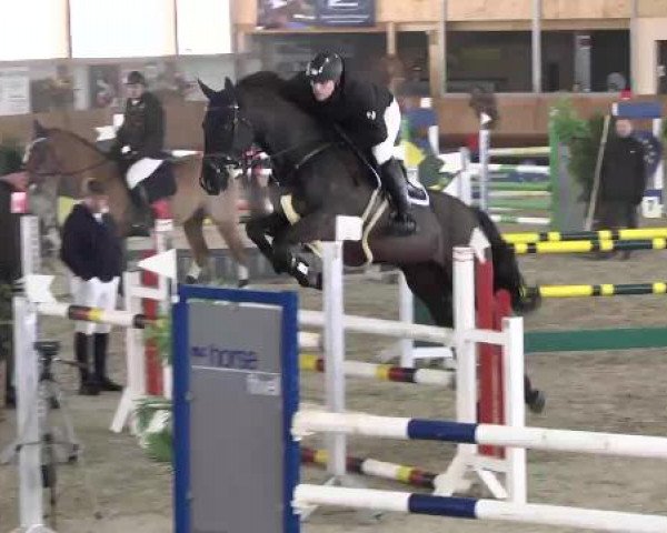 Late-Entry Dettingen 2015
