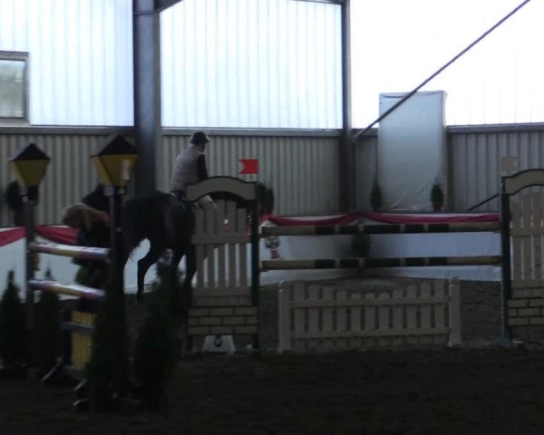 Hallenreitturnier Arnsberg-Voßwinkel 2015