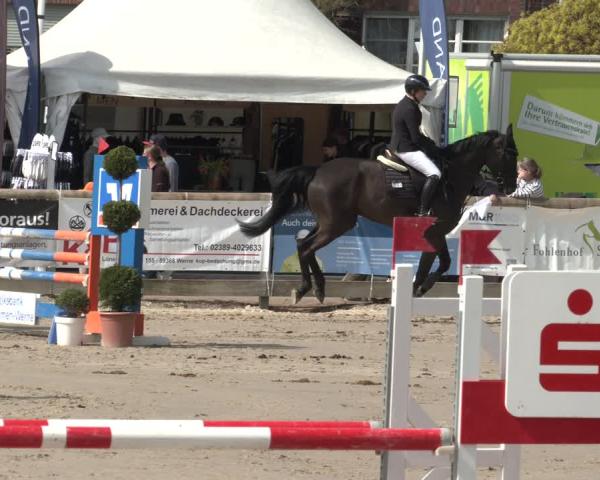 Rideturnering Werne-Lenklar 2026