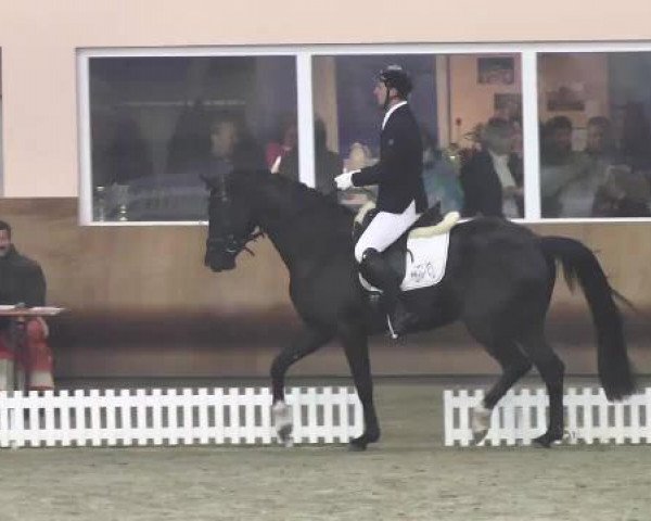 Late-Entry Dettingen 2015