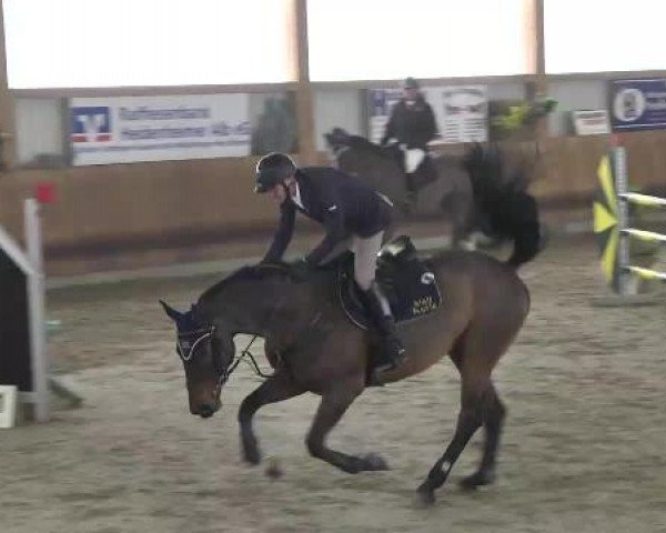 Late-Entry Dettingen 2015
