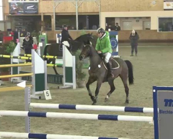 Late-Entry Dettingen 2015