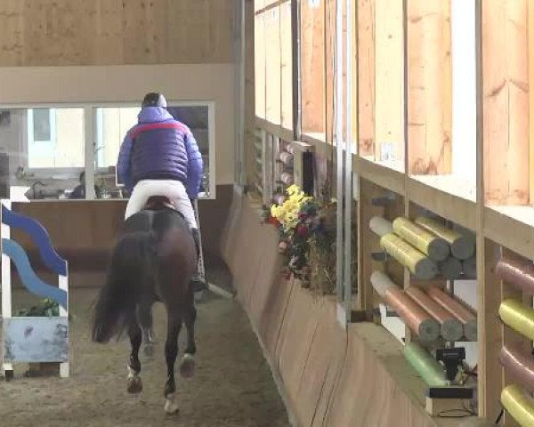 Late-Entry Dettingen 2015