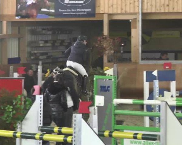 Late-Entry Dettingen 2015