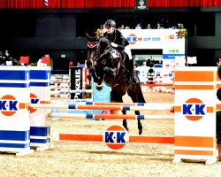 broodmare Escada Eclair (Oldenburg, 2009, from Sorento OLD)