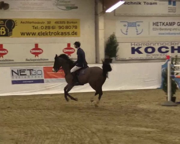 Hallenspringturnier in Borken 2015