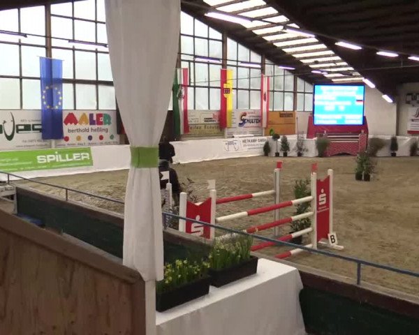Hallenspringturnier in Borken 2015