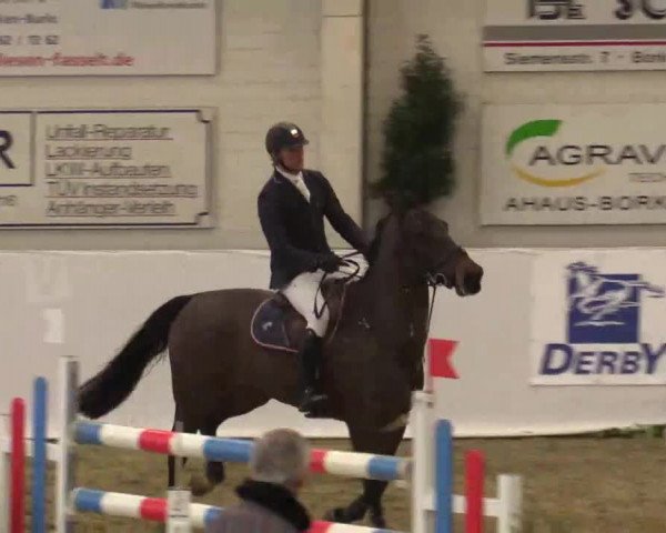 Hallenspringturnier in Borken 2015