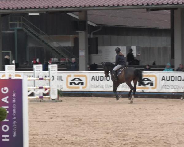 Rideturnering Ranshofen - Braunau am Inn 2026