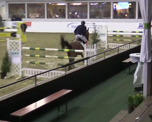 Hallenspringturnier in Borken 2015