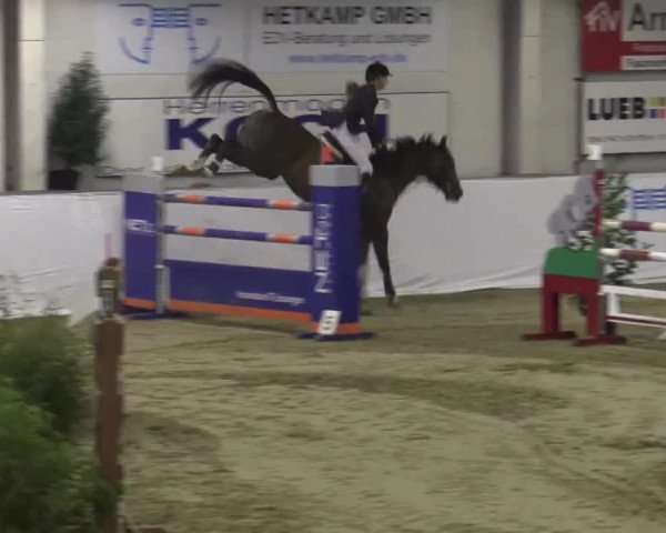 Hallenspringturnier in Borken 2015