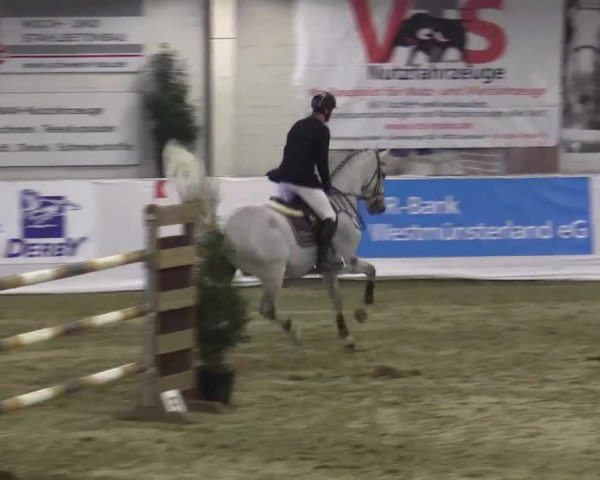 Hallenspringturnier in Borken 2015