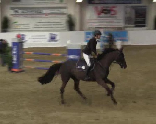 Hallenspringturnier in Borken 2015