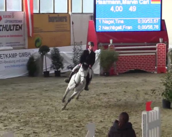 Hallenspringturnier in Borken 2015