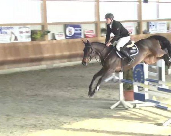 Late Entry Springen Dettingen 2015