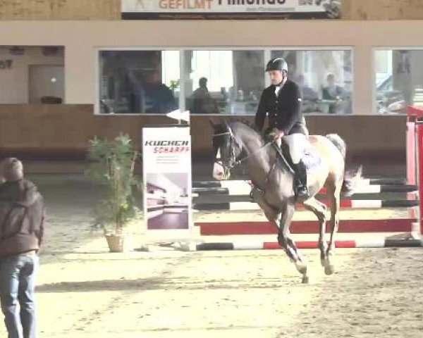 Late Entry Springen Dettingen 2015