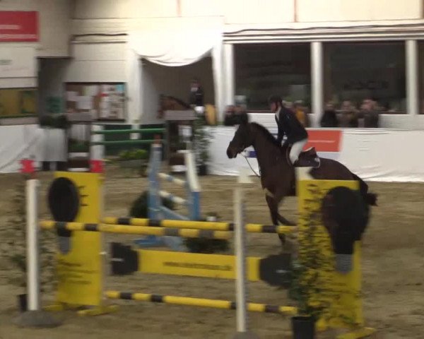 Hallenspringturnier in Borken 2015