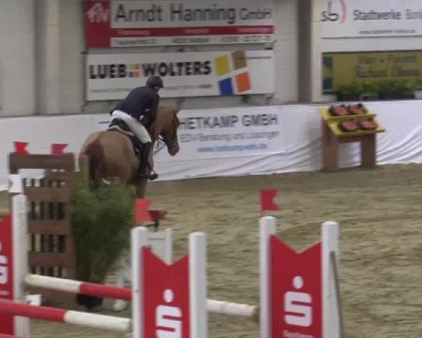 Hallenspringturnier in Borken 2015