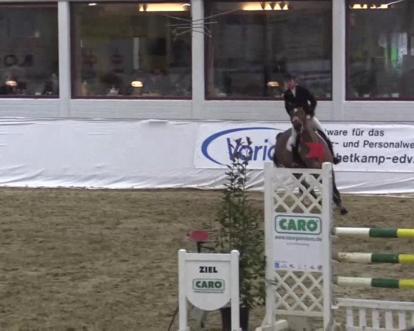 Hallenspringturnier in Borken 2015