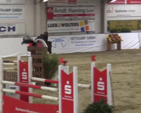 Hallenspringturnier in Borken 2015