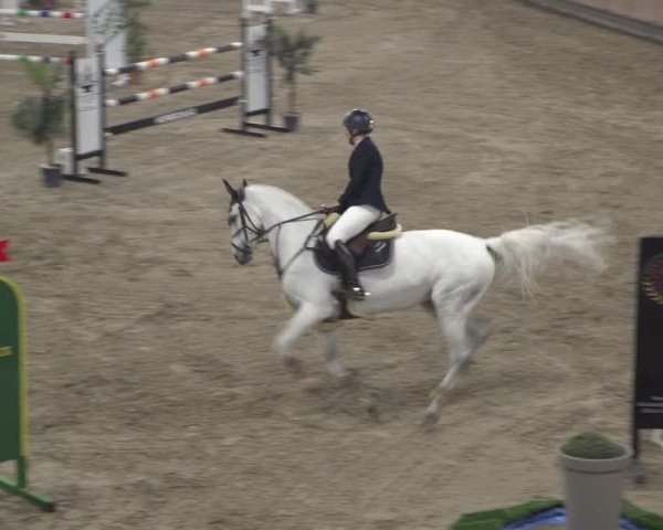 Reitturnier Grevenbroich - Gut Neuhaus 2021
