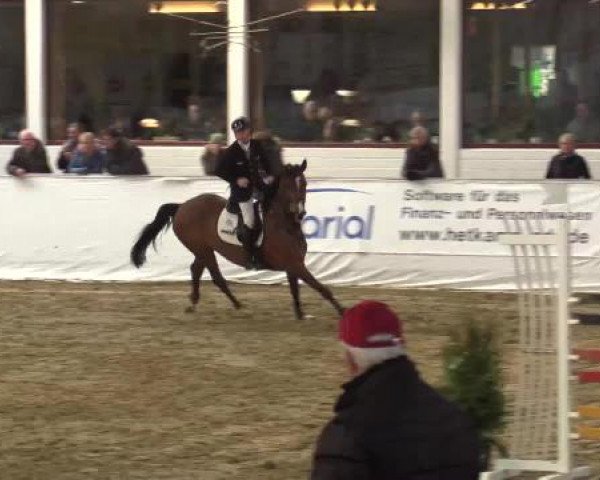 Hallenspringturnier in Borken 2015