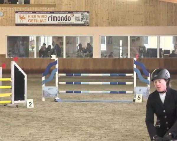 Late Entry Springen Dettingen 2015