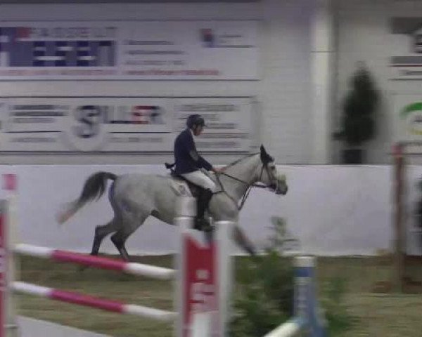 Hallenspringturnier in Borken 2015
