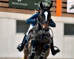 jumper Clabautermann P (Oldenburg, 2012, from Cador 5)
