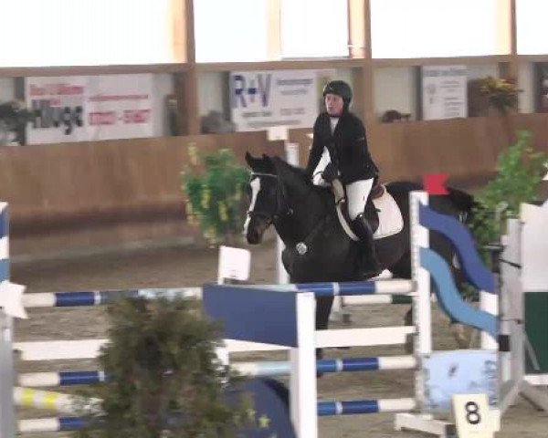 Late Entry Springen Dettingen 2015